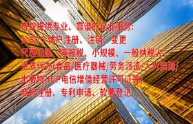 广东省内一站式<a href='https://qifu.qiyiqifu.cn/'>代理记账</a>服务全解析