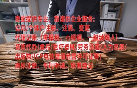  河北<a href='https://qifu.qiyiqifu.cn/'>商标答辩</a>专业代办服务及费用解析